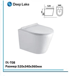 ������ ��������� DEEP LAKE ������������ DL-T08 ������� ���������, ���������