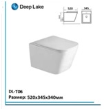 ������ ��������� DEEP LAKE ������������ DL-T06