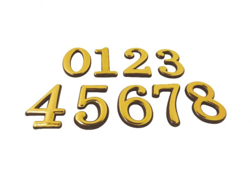 ���� ����� ������������� �6