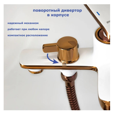 ��������� ��� ����� ���� ����� � ������� ������� �������� ��� Accoona A63123GR ������ � �����