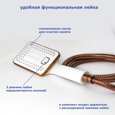 ��������� ��� ����� ���� ����� � ������� ������� �������� ��� Accoona A63123GR ������ � �����