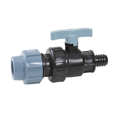 ���� �����. ��� 20 � � 20 ������ �� ����� ITAL